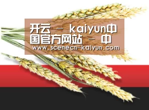 开云 - kaiyun中国官方网站 - 中文赛事服务中心