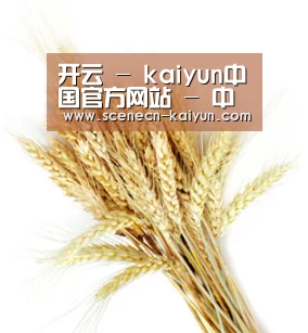 开云 - kaiyun中国官方网站 - 中文赛事服务中心