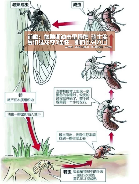 前瞻:詹姆斯冲击里程碑 骑士欲复仇猛龙夺3连胜_ 即时比分入口(图3) 开云